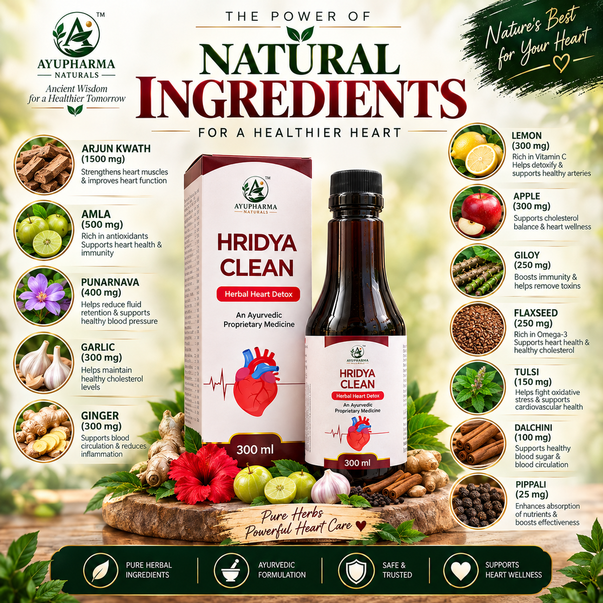 Ayupharma Naturals Hridaya Clean – Ayurvedic Proprietary Medicine | 300 ml